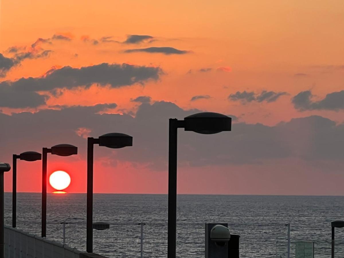 長楽園 Villa Shirahama Dış mekan fotoğraf