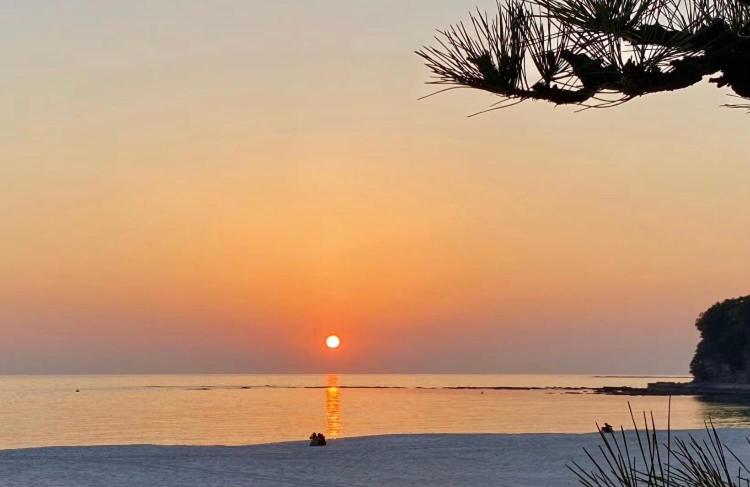 長楽園 Villa Shirahama Dış mekan fotoğraf