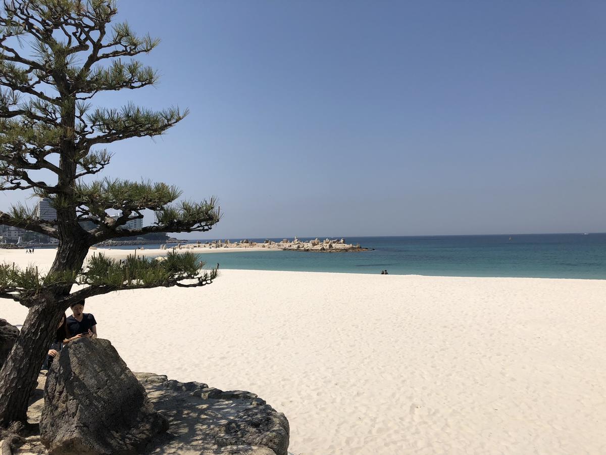 長楽園 Villa Shirahama Dış mekan fotoğraf